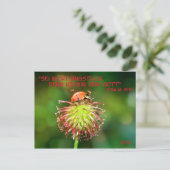 Jahrestext 2019 ポストカード (スタンド正面)