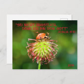 Jahrestext 2019 ポストカード (正面/裏面)