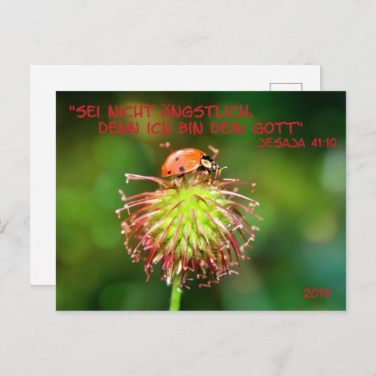 Jahrestext 2019 ポストカード (正面/裏面)