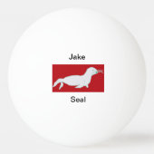 Jake Ping Pong Ball 卓球ボール (正面)