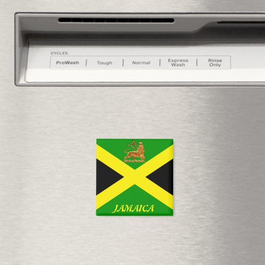 JAMAICA マグネット (インサイチュ (食洗機))