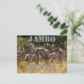 Jambo Kenya Zebra Migration Safariポストカード ポストカード (スタンド正面)