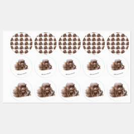 Jambo The Hairless Chimp (自分の文字に変更) ラベル