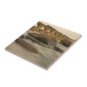 James川上の列車 タイル (側面)