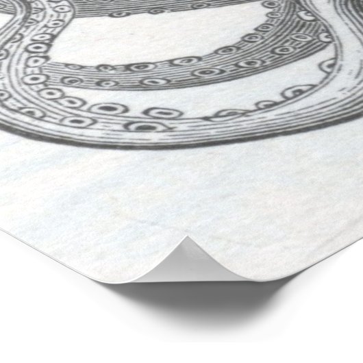 James Johonnot – タコ ポスター (角)