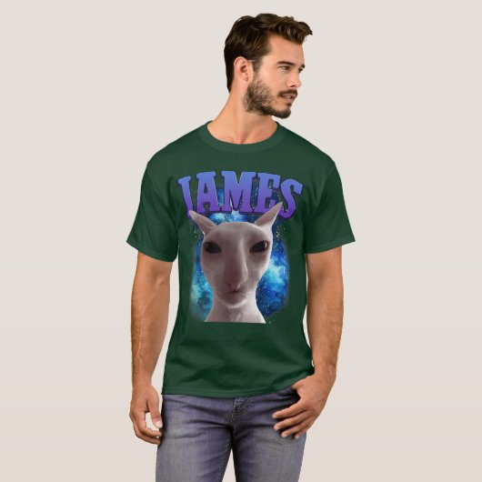 Jameshe Cat Meme Funny Silly Cats Brainrot Meme Ca Tシャツ (正面フル)