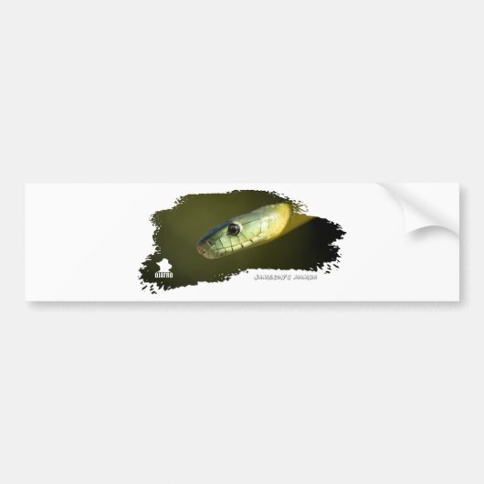 Jamesonのマンバ01 バンパーステッカー (正面)