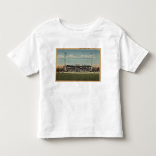 Jamestown、NY -市野球場 トドラーTシャツ (正面)