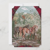 jamie & poppy tartan hunt (正面)