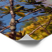 Jan07 2081, The Road to Hana - Maui, Hawaii ポスター (角)