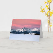 Jan2011 カード (黄色い花)