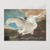 Jan Asselijn脅かされたスワンズ絵画アートプリン ポストカード (正面)