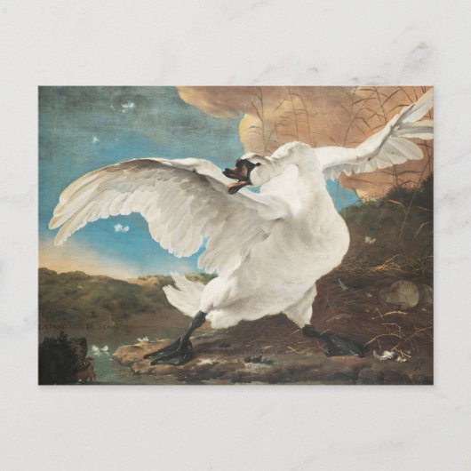 Jan Asselijn脅かされたスワンズ絵画アートプリン ポストカード (正面)