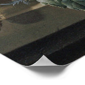 Jan Van Huysum – ポピー類，葵，モーニンググローリー ポスター (角)