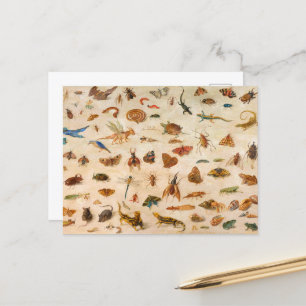 Jan van Kesselによる昆虫、両生類、貝類 シーズンポストカード