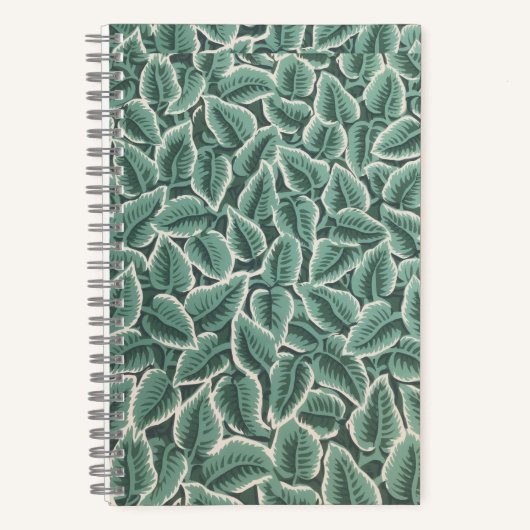 Jane Austen notebook ノートブック (正面)