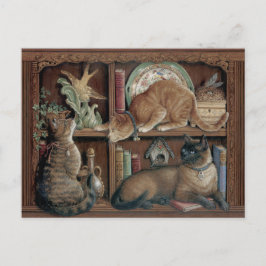 Janet Kruskamp Cats on the bookshelve Postcrossing ポストカード