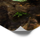 Jangle横 |カンチャナブリ，タイ ポスター (角)