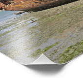 Janie Seddon Shipresck, Motueka, Nelson フォトプリント (角)