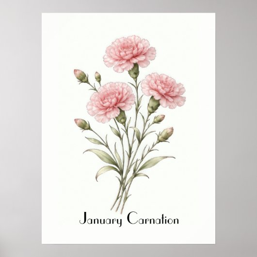 January Carnation Flowers ポスター (正面)