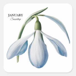 January Snowdrop開花-パーソナライズされた Gift スクエアシール
