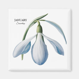 January Snowdrop開花-パーソナライズされた Gift マグネット