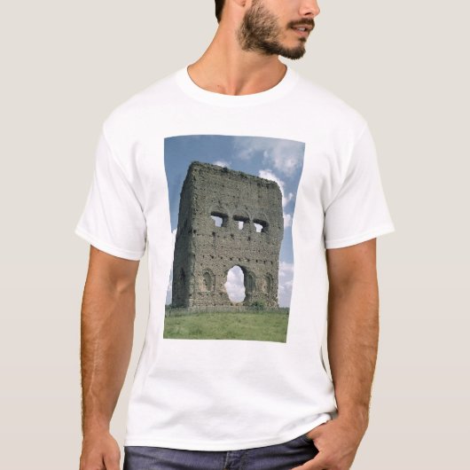 Janus、Tene Iの寺院 Tシャツ (正面)