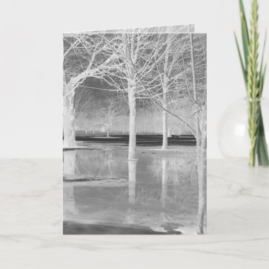 Janzによる冬至のグリーティングカード シーズンカード (正面)