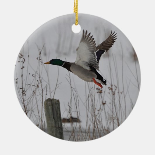 Janz著マガモのアヒルの家の装飾のデザイン セラミックオーナメント (裏面)