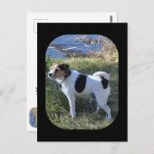 Janz Jack Russellの「Love From The Dog」 ポストカード (正面/裏面)