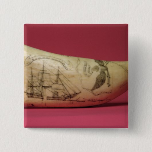 JapanのScrimshawの海岸のスーザン 缶バッジ (正面)