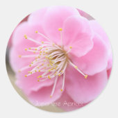 Japanese Apricot [Round Seal] ラウンドシール (正面)