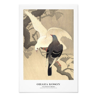 Japanese Art Print - Ohara Koson - Doves フォトプリント