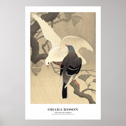 Japanese Art Print - Ohara Koson - Doves ポスター (正面)