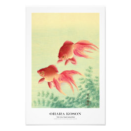 Japanese Art Print - Ohara Koson - Goldfish フォトプリント