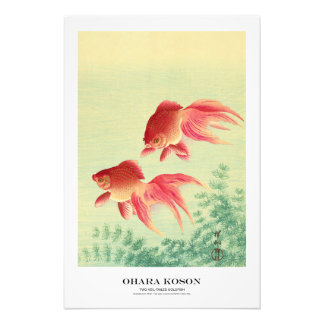 Japanese Art Print - Ohara Koson - Goldfish フォトプリント