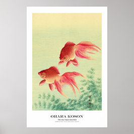 Japanese Art Print - Ohara Koson - Goldfish ポスター