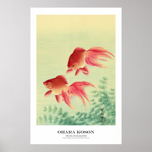 Japanese Art Print - Ohara Koson - Goldfish ポスター (正面)