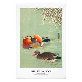 Japanese Art Print - Ohara Koson - Mandarin Ducks フォトプリント