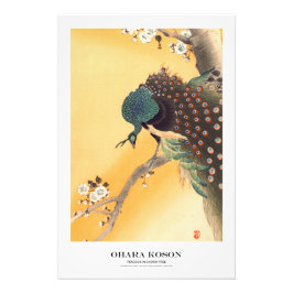 Japanese Art Print - Ohara Koson - Peacock フォトプリント