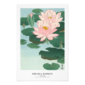 Japanese Art Print - Ohara Koson - Water Lilies フォトプリント