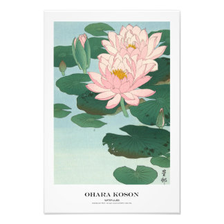 Japanese Art Print - Ohara Koson - Water Lilies フォトプリント