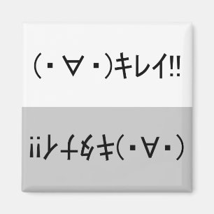 Japanese ASCII Art「キレイ!」&「キタナイ!」dishwasher magnet マグネット