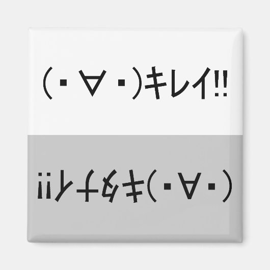 Japanese ASCII Art「キレイ!」&「キタナイ!」dishwasher magnet マグネット (正面)