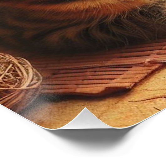 Japanese brown tabby cat ポスター (コーナー)