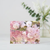 Japanese Cherry ポストカード (スタンド正面)