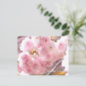 Japanese Cherry ポストカード (スタンド正面)