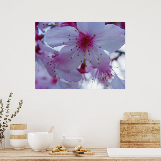 Japanese Cherry Blossom ポスター (キッチン)