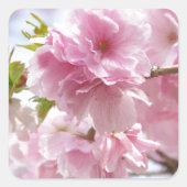 Japanese cherry blossoms スクエアシール (正面)