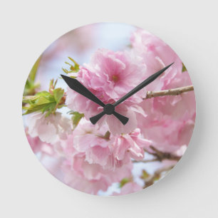 Japanese cherry blossoms ラウンド壁時計